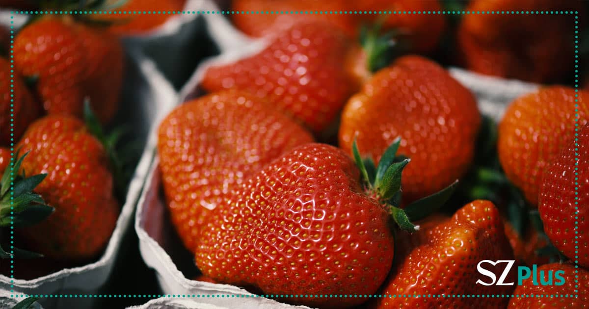 Erdbeeren Baumann